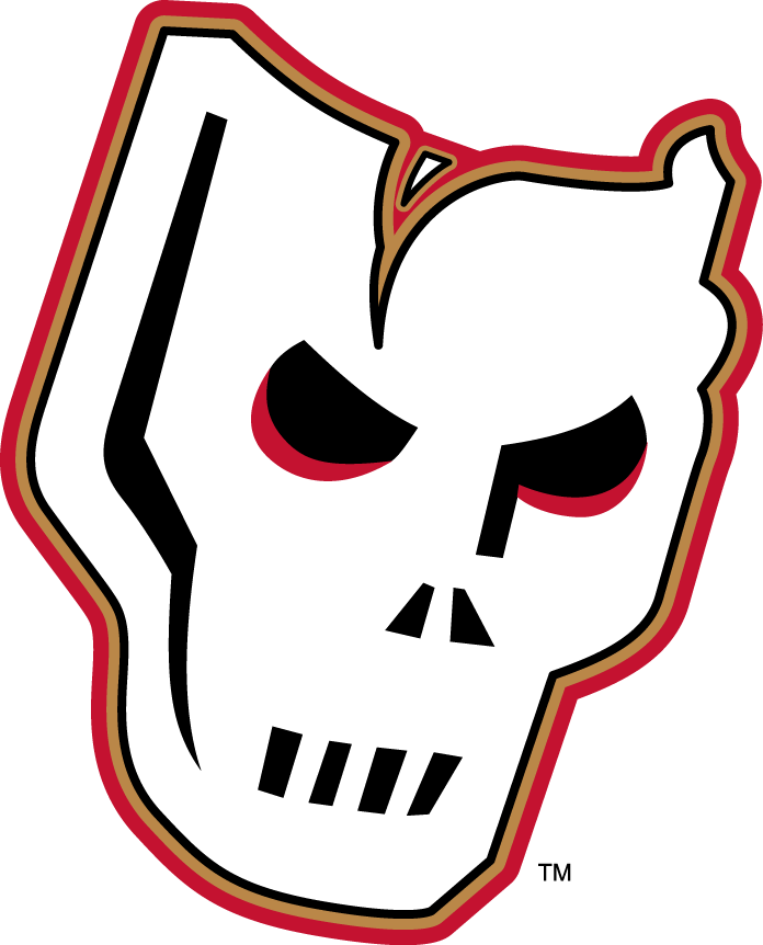 calgary hitmen 2009-pres alternate logo v2 iron on heat transfer